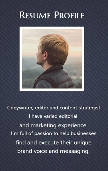 resume design pic2